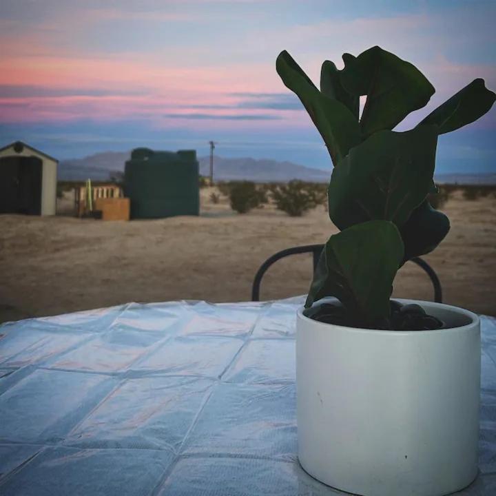 Serene Modern Home Backdoor With Great Wifi, Games, Movies, Patio Seating And Bbq Easy Access To North Joshua Tree National Park In 10 Minutes Twentynine Palms Buitenkant foto
